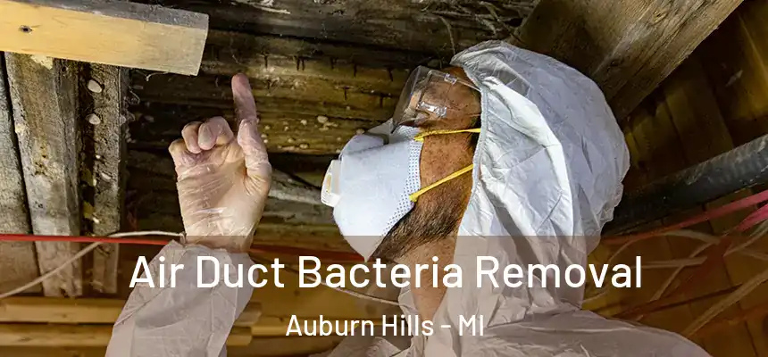  Air Duct Bacteria Removal Auburn Hills - MI