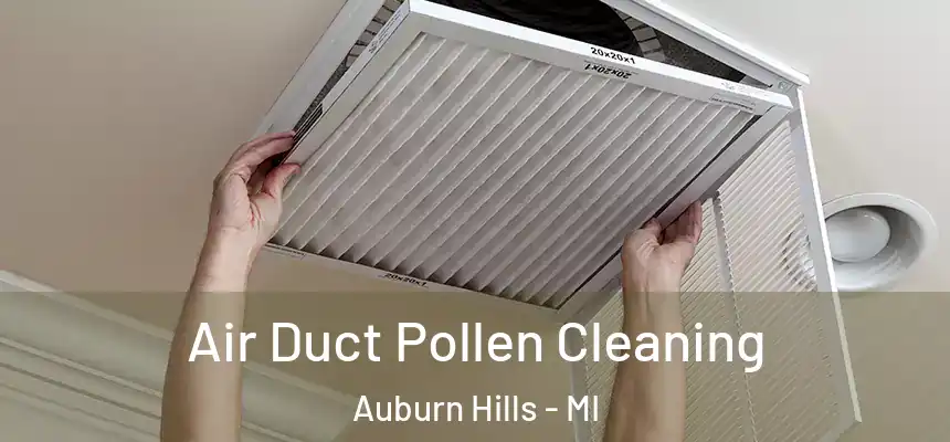  Air Duct Pollen Cleaning Auburn Hills - MI