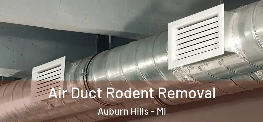  Air Duct Rodent Removal Auburn Hills - MI