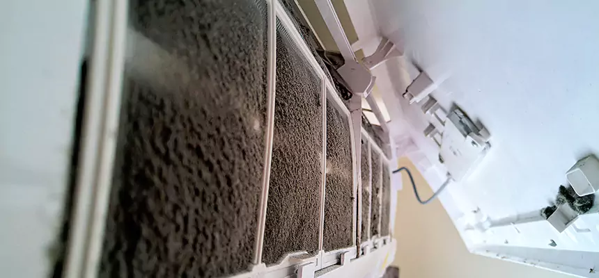 Preventive Air Duct Bacteria Removal in Auburn Hills