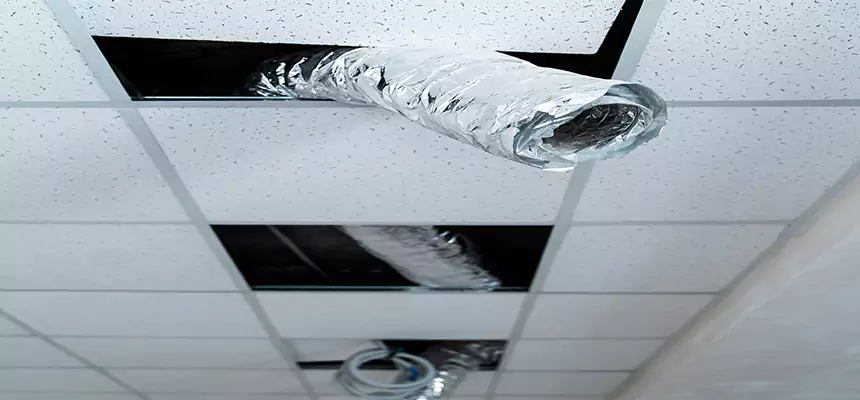 Affordable HVAC Sanitizing After Pest Removal in Auburn Hills