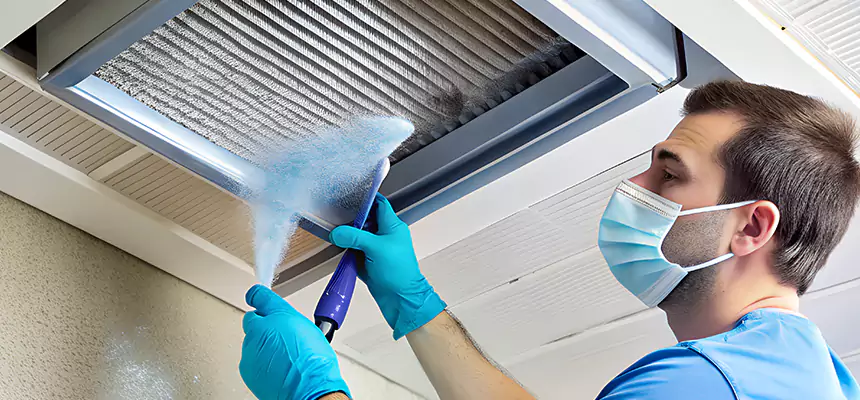 Proactive Dryer Vent & Auxiliary Duct Pollen Cleanup in Auburn Hills, MI