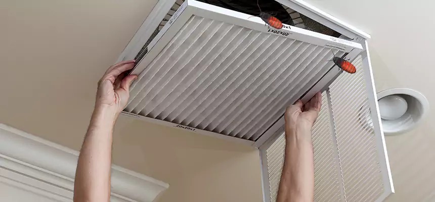 Our Insect Removal from Air Ducts Services in Auburn Hills, MI