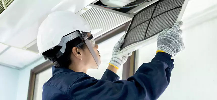 Our Mold & Mildew Removal from Air Ducts Services in Auburn Hills, MI