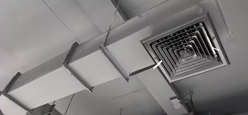 Our Pest Removal From Ducts Services in Auburn Hills, MI