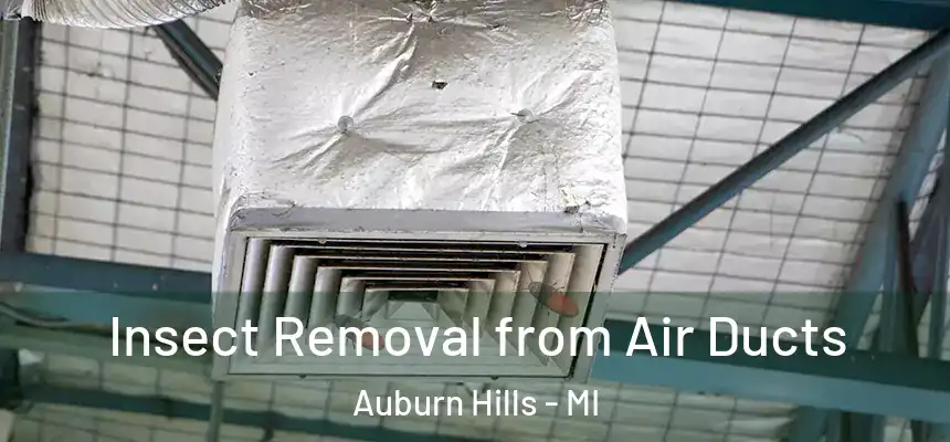  Insect Removal from Air Ducts Auburn Hills - MI