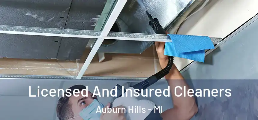 Licensed And Insured Cleaners Auburn Hills - MI