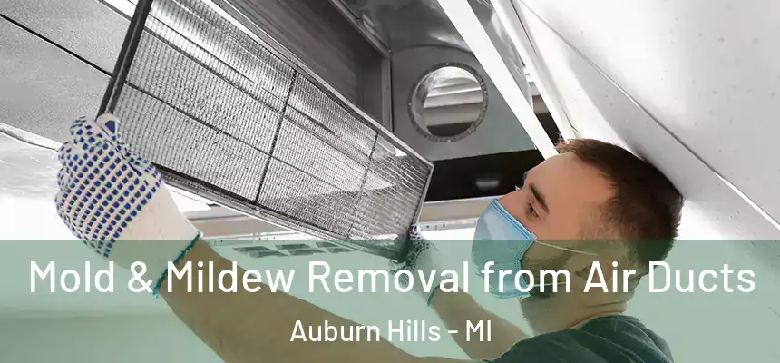  Mold & Mildew Removal from Air Ducts Auburn Hills - MI
