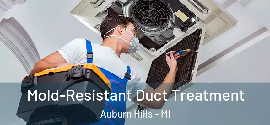Mold-Resistant Duct Treatment Auburn Hills - MI