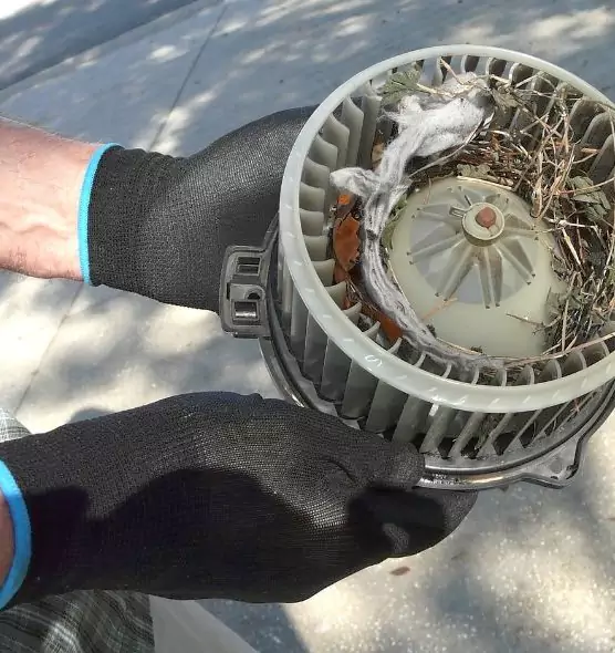 About Air Duct Mice Removal in Auburn Hills, MI