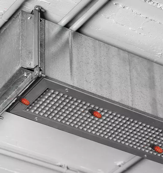 Affordable Insect Removal from Air Ducts in Auburn Hills, MI