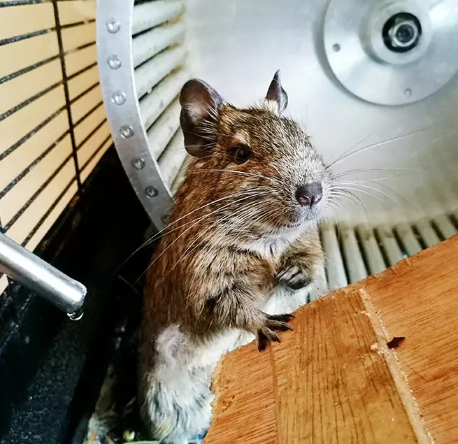 Why Homeowners & Businesses Trust Us Auburn Hills, MI